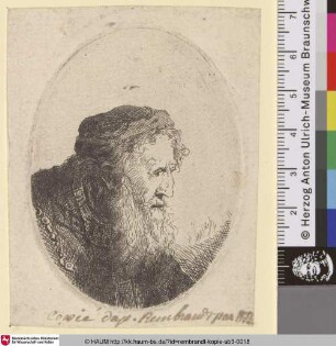 [Bärtiger Greis; Bearded Old Man; Vieillard à grande barbe et calotte]