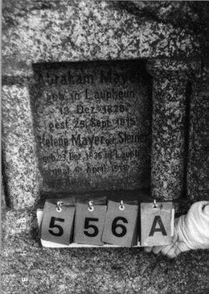 Grabstein 556 (Index: 100088699) Material: grau-rötlicher Granit Maße HxBxT: 166x80x35 cm Besonderheit: Doppelgrab: Grabstein 556A