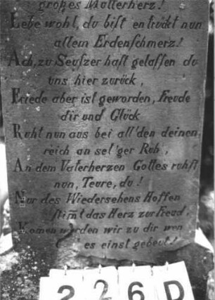 Grabstein 226 (Index: 100107001) Material: Sandstein Zustand: verwittert, Mittelaufsatz fehlt Maße HxBxT: 129x63x20 cm Beschreibung: Ädikulaartige Stele mit Rundbogenabschluß, Mittelaufsatz fehlt, Halbsäulen, Schriftfeld rechteckig eingetieft, Sockel Symbolik: floral: Grabstein 226D