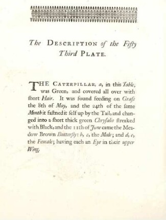 The Description of the Fifty Third Plate