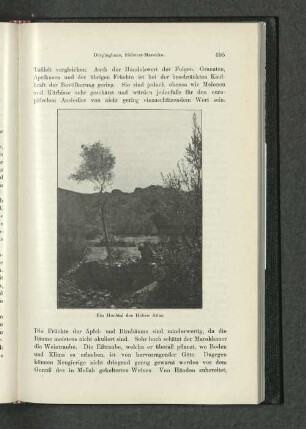 Abbildung eines Hochtals des Hohen Atlas.