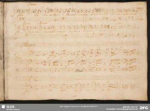 Recitativo: Sono queste o Selimo le nozze sospirate