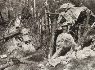 Kampfstelle Wilde Sau Hürtgenwald