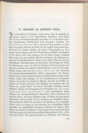 VI. Erlebnisse im politischen Leben.