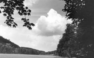 Triebischtal-Tanneberg. Triebischlandschaft in Richtung Eulenmühle