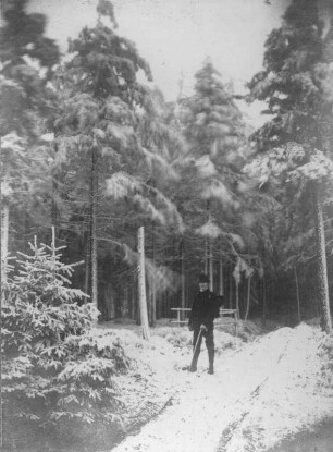 Osterzgebirge. Wanderer mit Spazierstock und Rucksack auf einem verschneiten Waldweg bei Altenberg