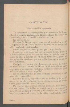 Capítulo XIV - Cómo ocurrió la desgracia