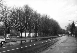 Eichgärtenallee, Schwanenteich und Wieseck; Gießen, Eichgärtenallee, Wiesenstraße 8, Wiesenstraße 16, Wiesenstraße 14, Wiesenstraße 12, Wiesenstraße 10, Wieseck, Schwanenteich, Roonstraße, Ringallee 54A, Ringallee, In der Eichgärtenallee, Hinter der Burg, Eichgärtenallee 19, Die Wieseck, Auf die Eichgärten und die Wieseck