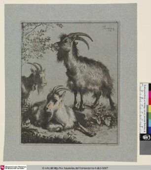 [Der Bock mit den zwei Ziegen]