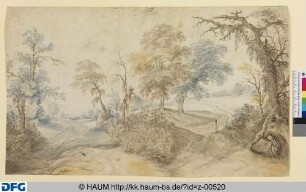 Weggabelung mit Bäumen und Sträuchern