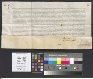 Seligenstadt: Caroli V. imperatoris preces primanae pro Petro Schweis clerio Trevirensis diocessis ad abbatem et conventum in Selgenstadt