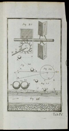Tab. IV. fig. 21 - fig. 26.