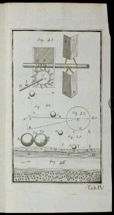 Tab. IV. fig. 21 - fig. 26.