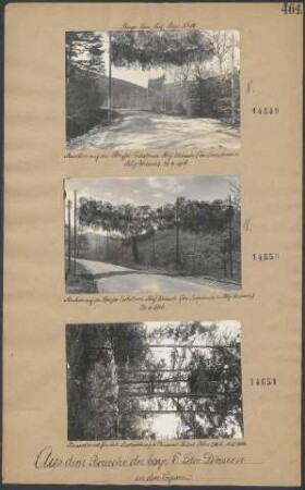 Baumkanzel für Art.-Beobachtung s. Chamont-Sattel, Höhe 728, 06.,11.05.1916