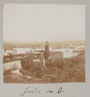 genin [Jenin] von O.