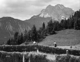 Familie bei der Heuernte im Wettersteingebirge