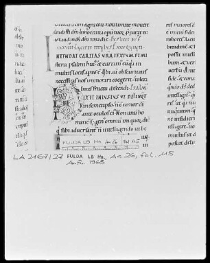 Augustinus, Enarrationes in Psalmos 1-50 — Initiale D, Folio 115 recto