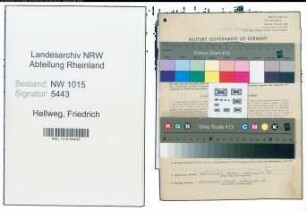Entnazifizierung Friedrich Hellweg , geb. 24.02.1892 (Kaufmann)
