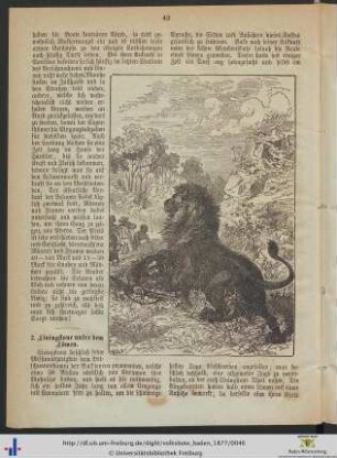 2. Livingstone unter dem Löwen.
