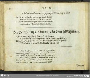 Tobiae
