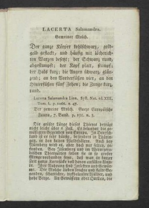 LACERTA Salamandra. Gemeiner Molch.