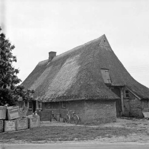 Bauernhaus mit Reetdach: an linker Seitenwand Fahrrad: vorn Straße: links Kisten unter Baum