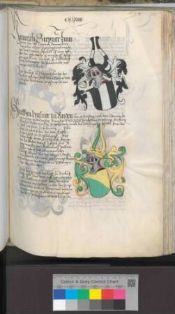 Heinrich Steiner zum Stein [Roggenstein]