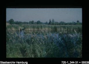 Vierlande, Brack