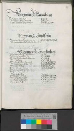Burgmannen zu Starkenburg