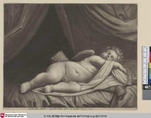 [Schlafender Amor; Sleeping Cupid]