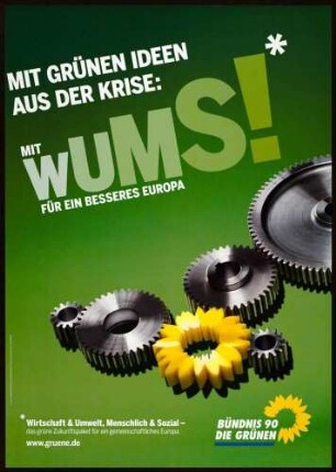 Bündnis 90/Die Grünen, Europawahl 2009