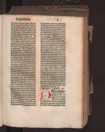 Preceptum Quintum