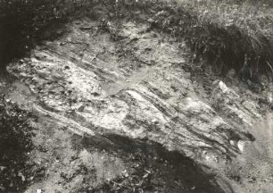 Freitaler Becken. Konglomerate, Sandsteine und Letten des Rotliegenden, gekippt, im Weißeritztal oberhalb des Backofenfelsens