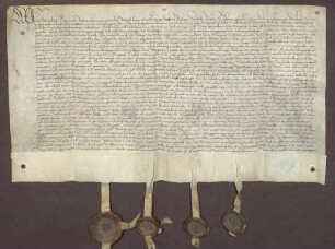 Erbhuldigungsrevers des Dorfes Rastatt und Rheinau als Leibeigene gegen Markgraf Christoph I. von Baden