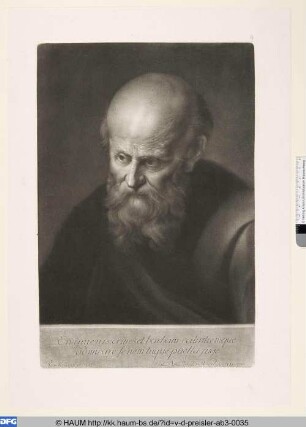 Bärtiger Mann, Studienkopf