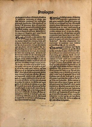 Expositiones sive declarationes titulorum utriusque iuris