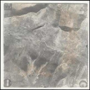 Aufnahme 059