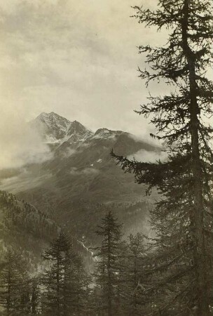 Italien. Ortlergruppe. Hintere Schöntaufspitze