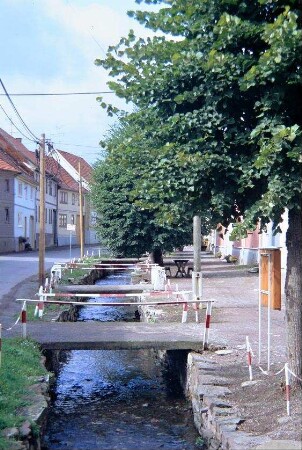 Lauf des Schilfwassers in der Ortslage, parallel zur Hauptstraße