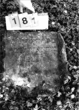 Grabstein 181 (Index: 99792308) Material: Sandstein Zustand: leicht verwittert, obere Hälfte der Stele fehlt, Stele liegend Maße HxBxT: 58x54x13 cm Beschreibung: Stele, Schriftfeld eingetieft: Grabstein 181
