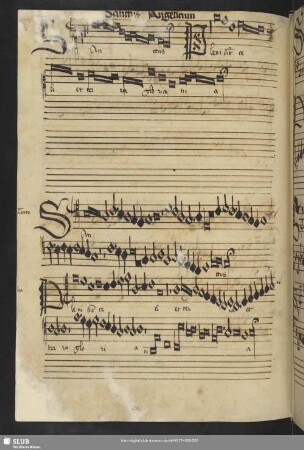 [Anon.: Messe: Sanctus und Agnus Dei]