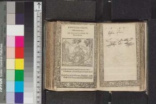 Text, Illustrationen und Einträge S. 350 - 399