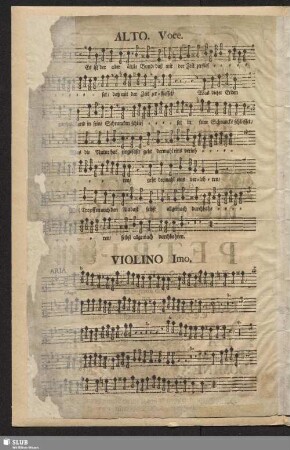 Violino primo.