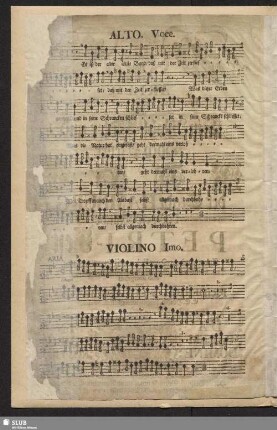 Violino primo.