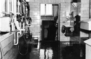 Fotografie: Melktechnik, Reinigungstechnik, Milchkammer