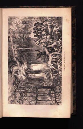 Crossing a Mangrove-Swamp.