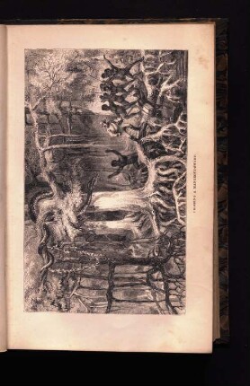 Crossing a Mangrove-Swamp.