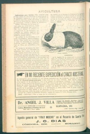Avicultura