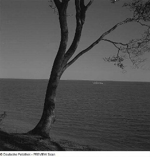 Blick auf die Ostsee mit Saßnitzer Fähre, sog.Schwedenfähre