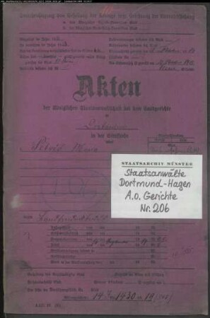 Landfriedensbruch (Plünderungen in Dortmund am 02.07.1919) Petric, Maria